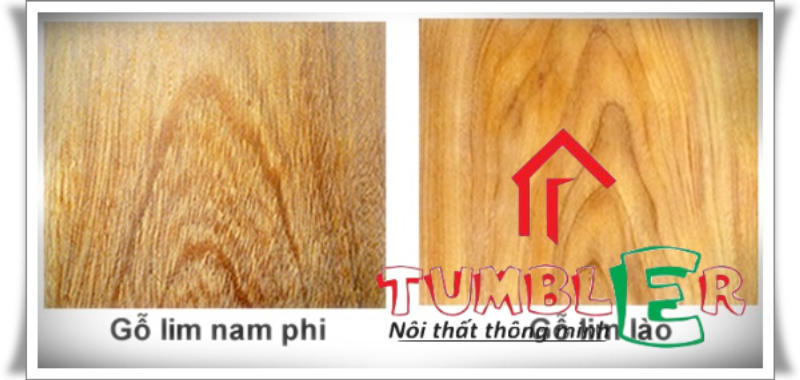Phân biệt gỗ lim Lào và gỗ lim Nam Phi 
